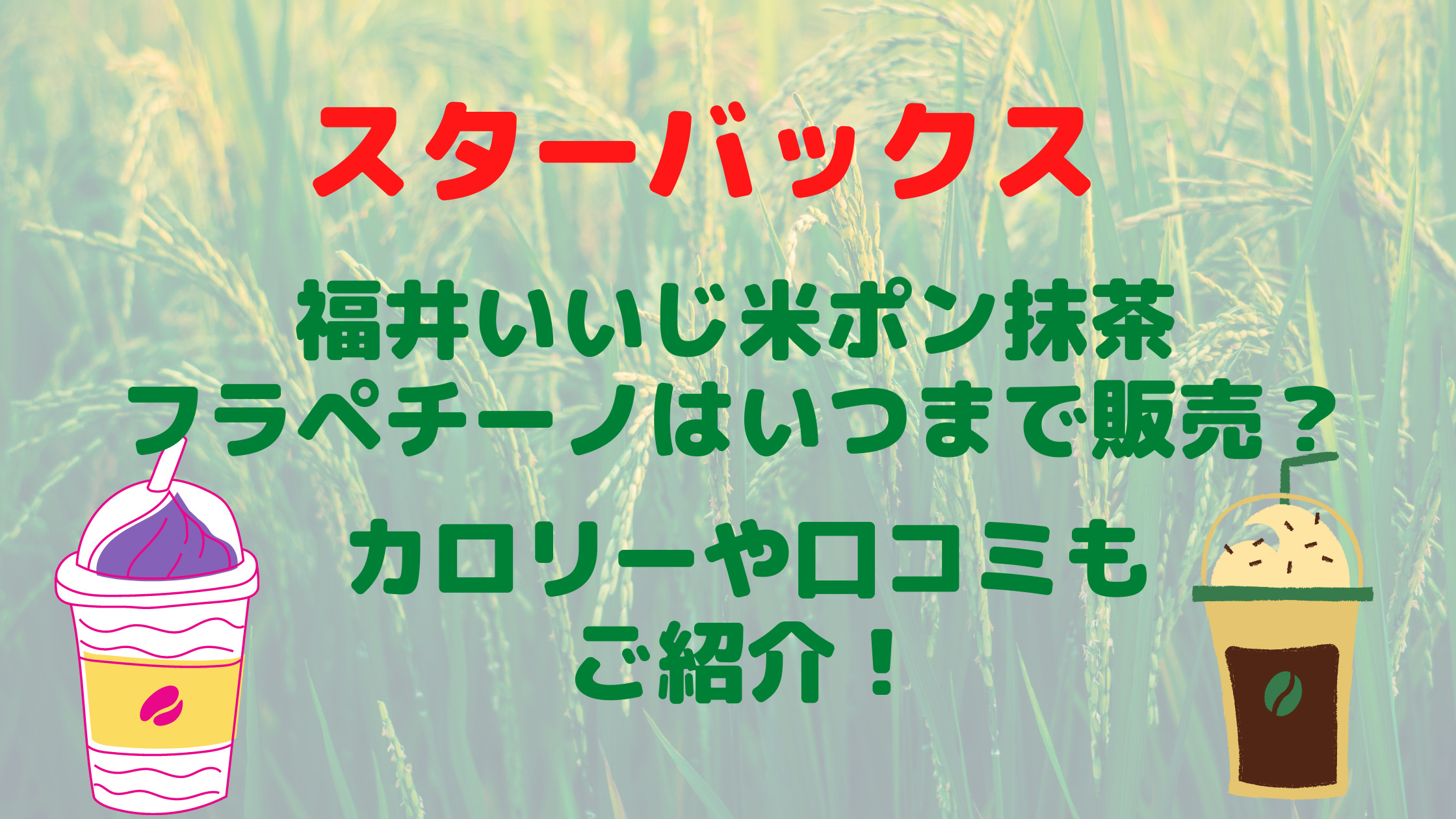 スタバ福井米ポン抹茶フラペチーノいつまで カロリーや口コミもご紹介 30代ママのあれこれbox